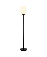 Hudson & Canal Agnolo 69" Glass Shade Tall Floor Lamp