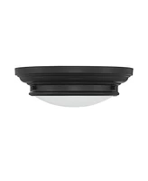 Trade Winds Lighting 2-Light Ceiling Light