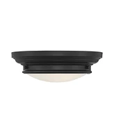 Trade Winds Lighting 2-Light Ceiling Light