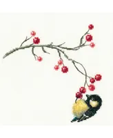 Autumn berries C273 Counted Cross Stitch Kit - Assorted Pre