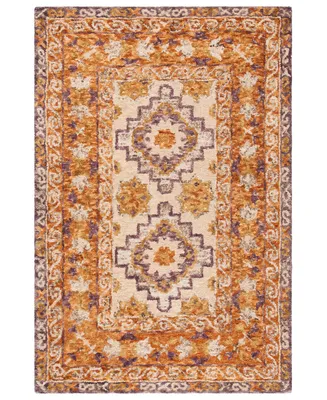 Safavieh Aurora APN127 4' x 6' Area Rug