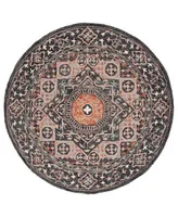 Safavieh Aurora Apn130 Area Rug