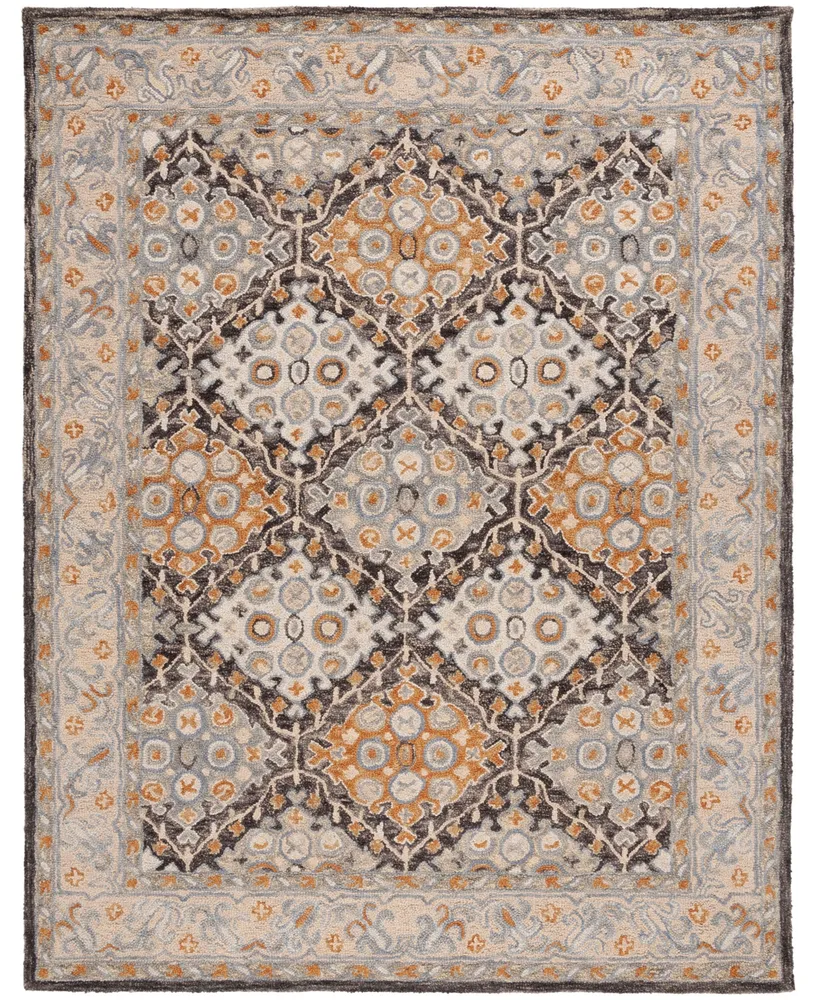 Safavieh Aurora APN304 10' x 14' Area Rug