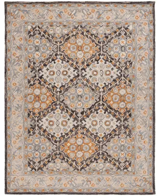 Safavieh Aurora APN304 10' x 14' Area Rug