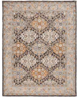 Safavieh Aurora APN304 10' x 14' Area Rug