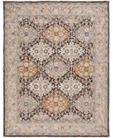 Safavieh Aurora Apn304 Area Rug