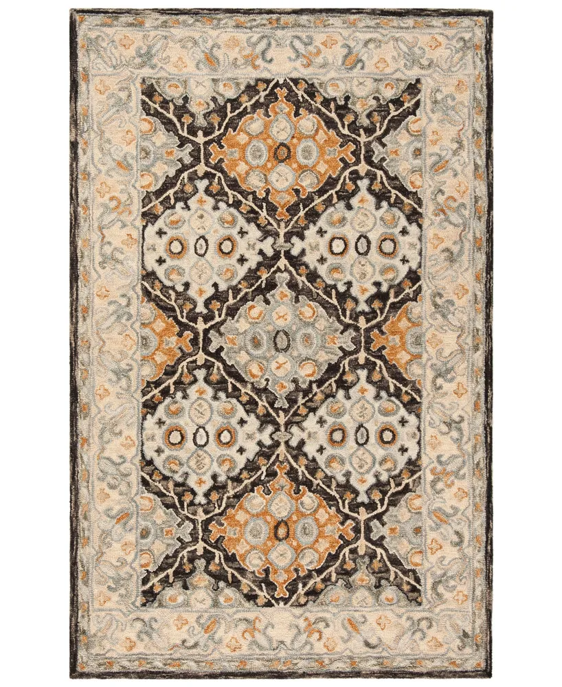 Safavieh Aurora APN304 4' x 6' Area Rug