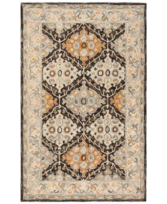 Safavieh Aurora APN304 4' x 6' Area Rug