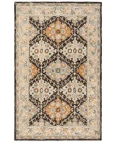 Safavieh Aurora APN304 4' x 6' Area Rug