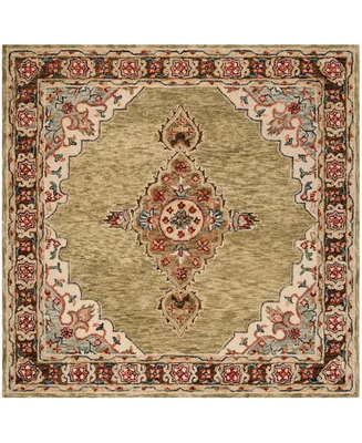 Safavieh Aurora APN506 3' x 3' Square Area Rug