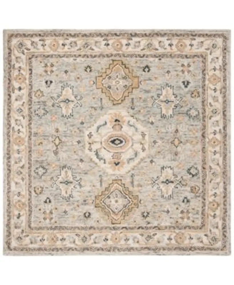 Safavieh Aurora Apn601 Area Rug