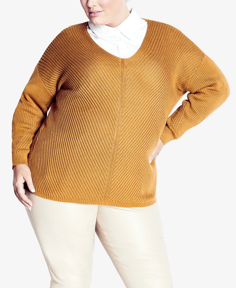 Avenue Plus Primrose V-neck Sweater