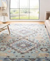 Safavieh Aurora Apn504 Area Rug