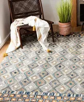 Safavieh Aurora Apn811 Area Rug