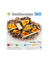 Nsi Smithsonian Amber Dig Science Kit