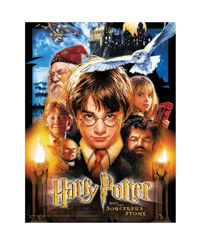 USAopoly Harry Potter And the Sorcerer's Stone 550 Piece Jigsaw Puzzle