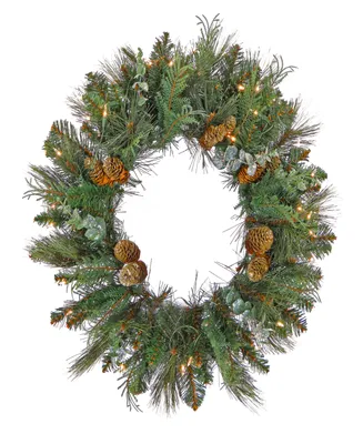 National Tree Company First Traditions Collection, 30" Artificial North Conway Wreath with Glittery Cones and Eucalyptus, 100 Warm White Led Lights