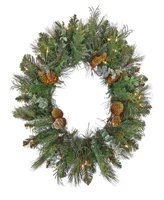 National Tree Company First Traditions Collection, 30" Artificial North Conway Wreath with Glittery Cones and Eucalyptus, 100 Warm White Led Lights