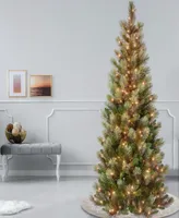 National Tree Company First Traditions 7.5' Charleston Pine Slim Tree with Clear Lights