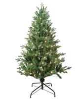 Kurt Adler 4.5' Pre-Lit Clear Incandescent Jackson Pine Tree