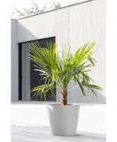 Ecopots Amsterdam Modern Round Planter with Water Reservoir