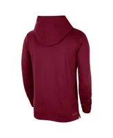 Men's Nike Cardinal Arkansas Razorbacks Player Hoodie Long Sleeve Performance T-shirt