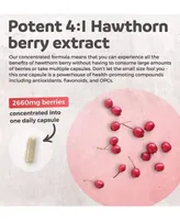 Healths Harmony Hawthorn Berry Capsules, Cardiovascular and Immune Health, 4:1 Extract, Health's Harmony