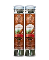National Tree Company Scentsicles, Scented Ornaments, 6 Count Bottles, 2 Dashes of Cinnamon, Fragrance-Infused Paper Sticks, 2 Pack Set