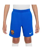 Big Boys Nike Royal Barcelona 2023/24 Away Stadium Performance Shorts