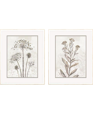 Dried Florals Ii Framed Art, Set of 2