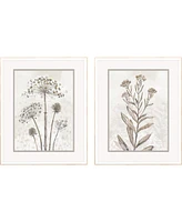 Dried Florals Ii Framed Art, Set of 2