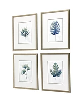 Plant Drawings Framed Art, Set of 4