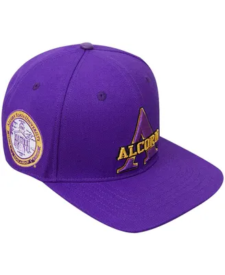 Men's Pro Standard Purple Alcorn State Braves Evergreen Primary Logo Snapback Hat