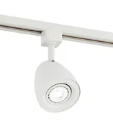 Pro Track Ian 4-Head Led Ceiling Track Light Fixture Kit with Floating Canopy Spot
