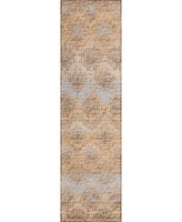 Addison Bravado Outdoor Washable ABV39 2'3" x 7'6" Runner Area Rug