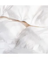 Extra Warm Feather & Down Duvet Comforter Insert
