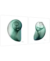 Empire Art Direct Shimmering Snail I Ii Frameless Free Floating Tempered Glass Panel Graphic Wall Art, 24" x 24" x 0.2" Each