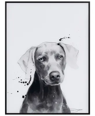 Empire Art Direct "Weimaraner" Pet Paintings on Printed Glass Encased with A Black Anodized Frame, 24" x 18" x 1"