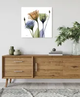 Empire Art Direct "Gentian Buddies" Frameless Free Floating Tempered Glass Panel Graphic Wall Art, 24" x 24" x 0.2"