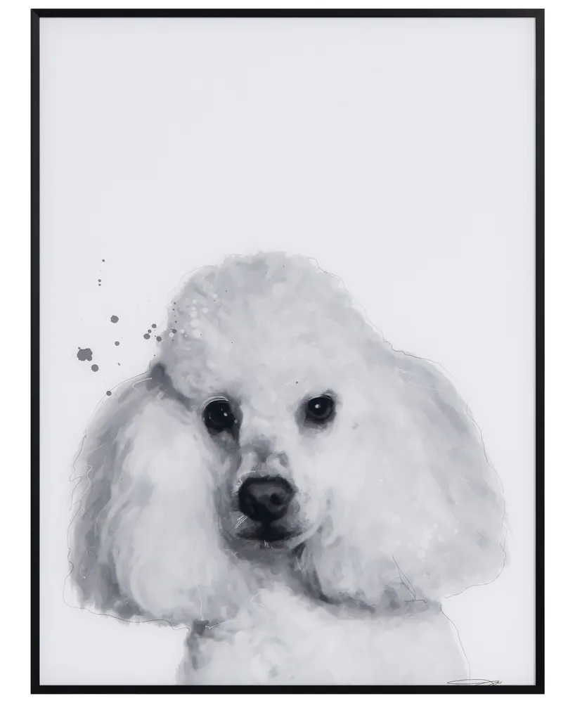 Empire Art Direct Poodle Pet Paintings on Printed Glass Encased with A  Black Anodized Frame, 24 x 18 x 1