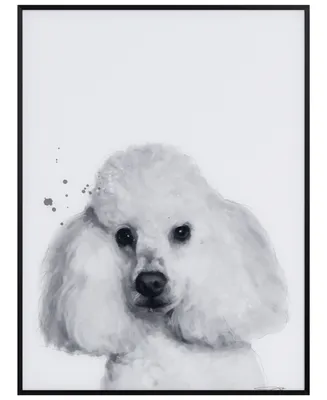 Empire Art Direct "Poodle" Pet Paintings on Printed Glass Encased with A Black Anodized Frame, 24" x 18" x 1"