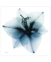 Empire Art Direct "Glacial Amaryllis" Frameless Free Floating Tempered Glass Panel Graphic Wall Art, 38" x 38" x 0.2"
