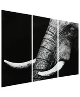 Empire Art Direct "Elephant Abc" Frameless Free Floating Tempered Glass Panel Graphic Wall Art Set of 3, 72" x 36" x 0.2" Each