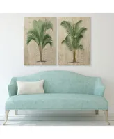 Empire Art Direct Coastal Palm Fine Radiographic Photography Hi Definition Giclee Printed Directly on Hand Finished Ash Wood, 36" x 24" x 1.5" each