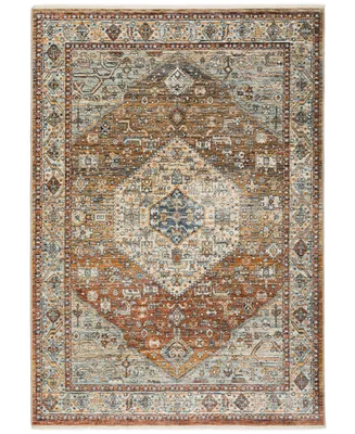D Style Perga PRG1 7'10" x 10' Area Rug