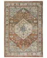D Style Perga PRG1 7'10" x 10' Area Rug