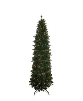 Kurt Adler 7' Pre-lit Clear Incandescent Studio Spruce Tree