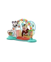 VTech 5-in-1 Tunnel of Fun