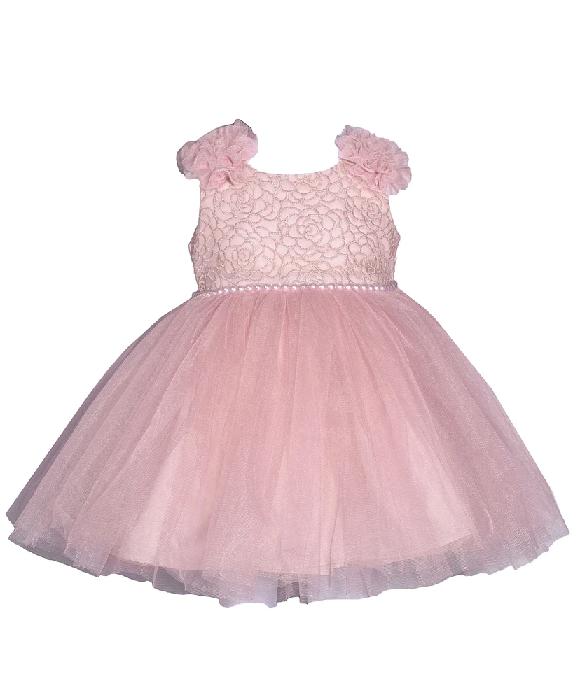 Bonnie Baby Girls Sleeveless Embroidered Bodice Dress with Mesh Skirt