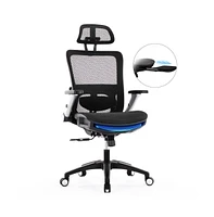 Executive Mesh Back Office Chair with Footrest